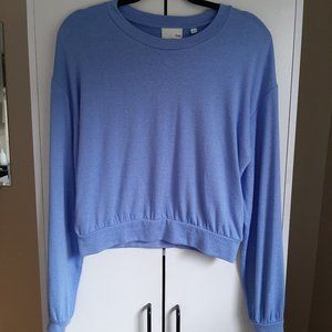 Wilfred Free Aritzia Tibby Shirt